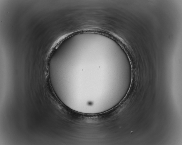X0000086251363200704191833