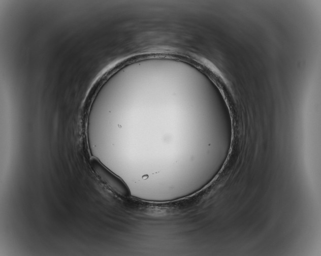 X0000086251364200704191833