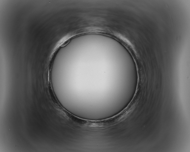 X0000086251365200704191833