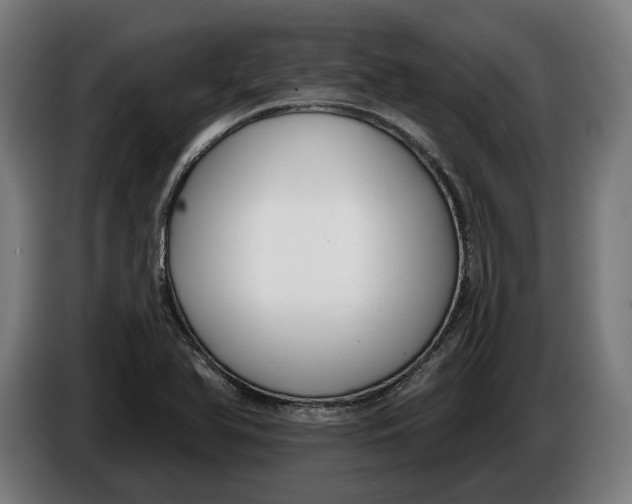 X0000086251366200704191833