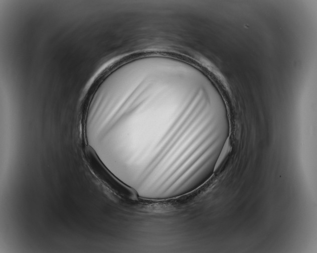 X0000086251368200704191833