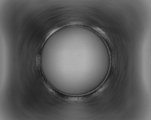 X0000086251369200704191833