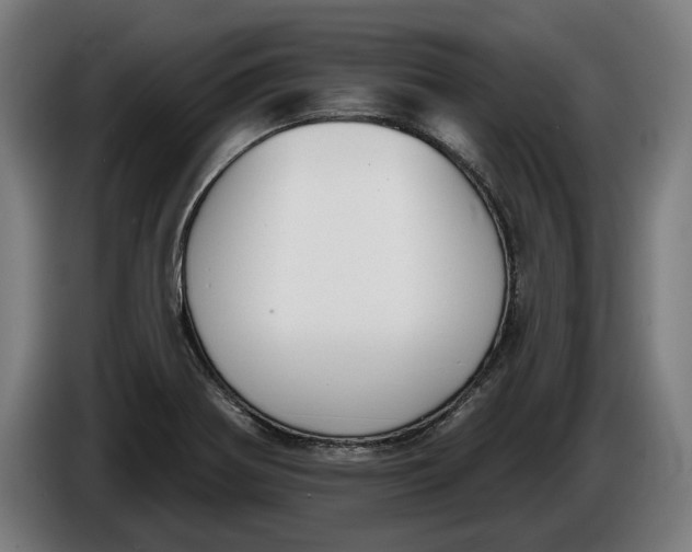 X0000086251370200704191833