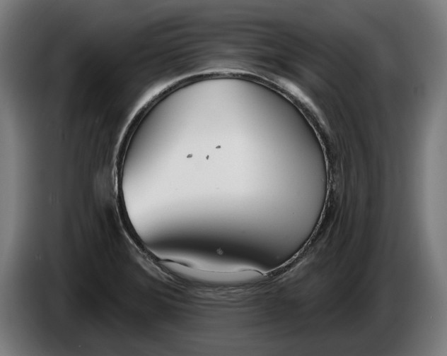 X0000086251372200704191833