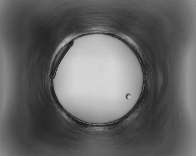 X0000086251373200704191833