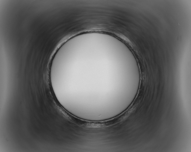 X0000086251374200704191833
