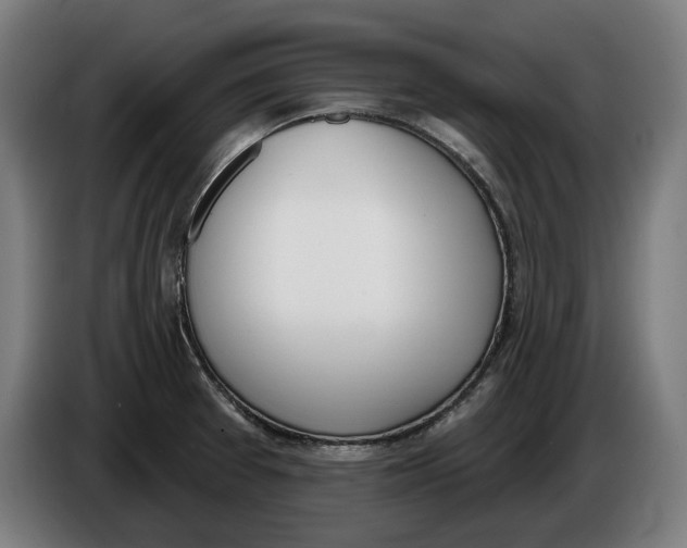 X0000086251377200704191833