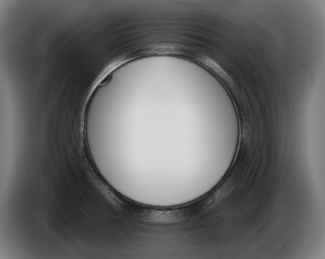 X0000086251378200704191833