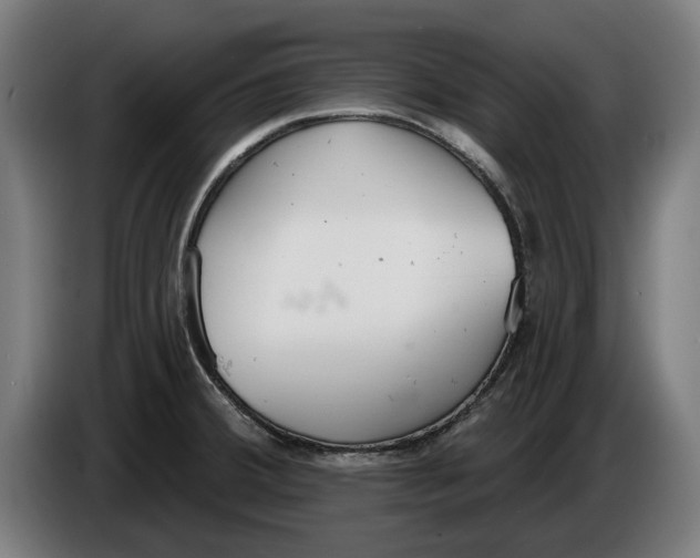 X0000086251380200704191833
