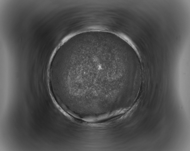 X0000086251381200704191833
