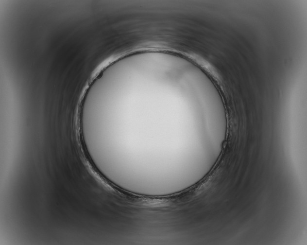 X0000086251382200704191833