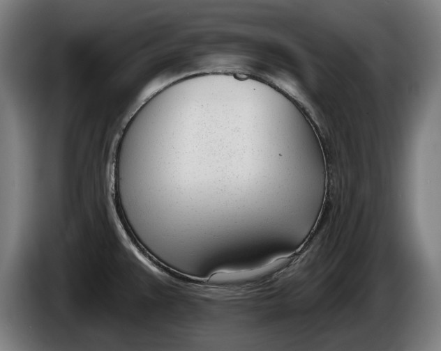 X0000086251383200704191833