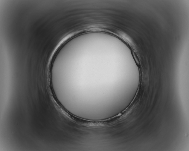 X0000086251384200704191833