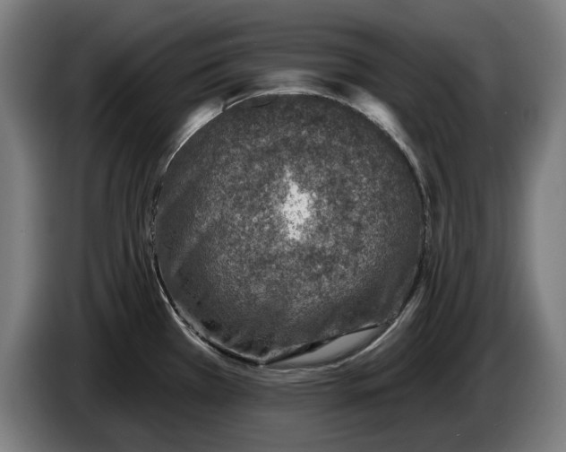 X0000086251385200704191833