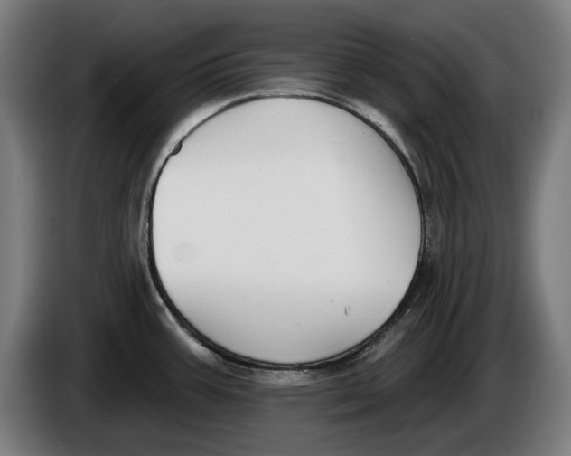 X0000086251387200704191833