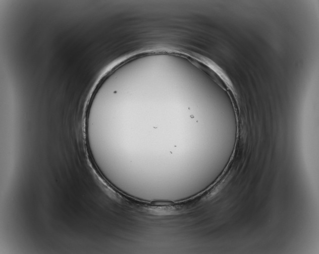 X0000086251388200704191833
