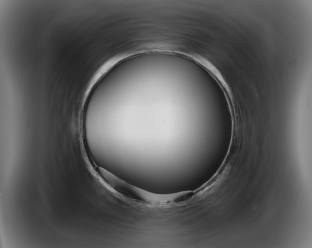 X0000086251389200704191833