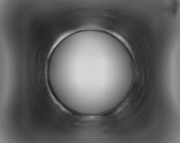 X0000086251390200704191833