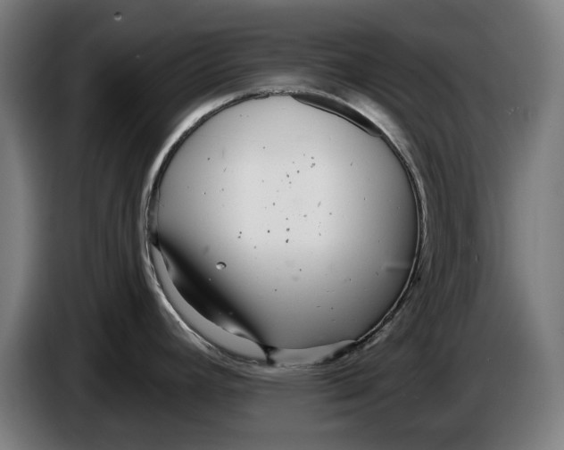 X0000086251392200704191833