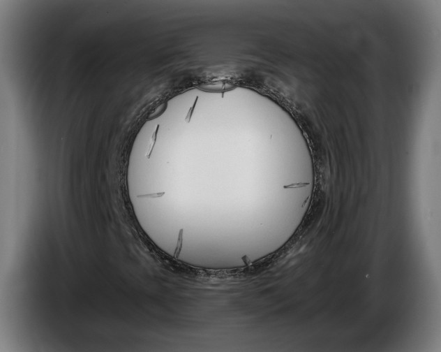 X0000086251393200704191832