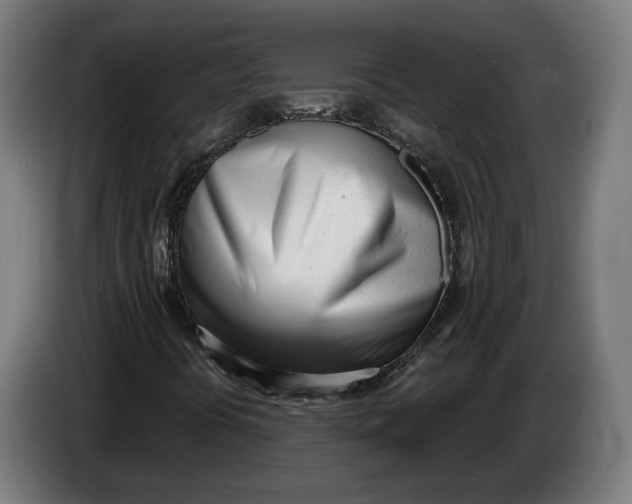 X0000086251394200704191832