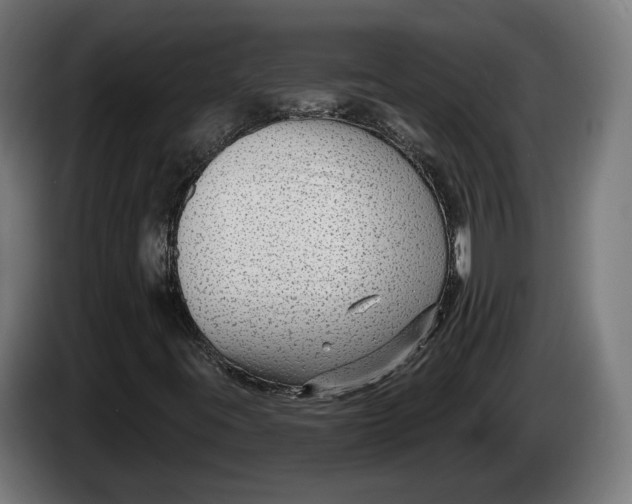 X0000086251395200704191832