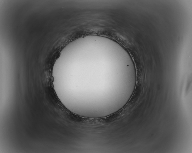 X0000086251397200704191832