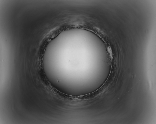 X0000086251398200704191833