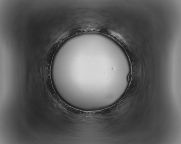 X0000086251399200704191833
