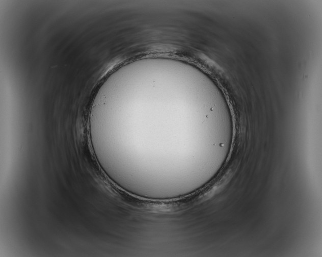 X0000086251401200704191833