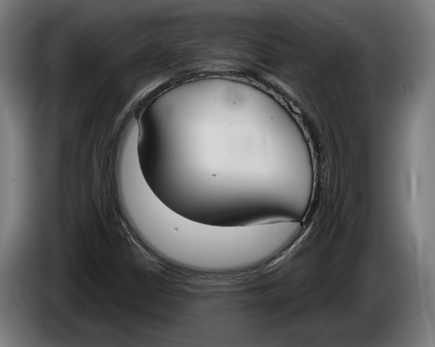 X0000086251402200704191833