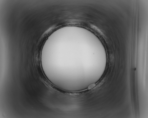 X0000086251403200704191833