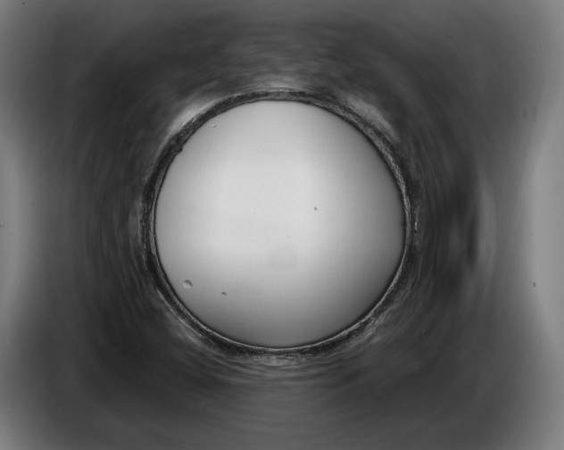 X0000086251404200704191833