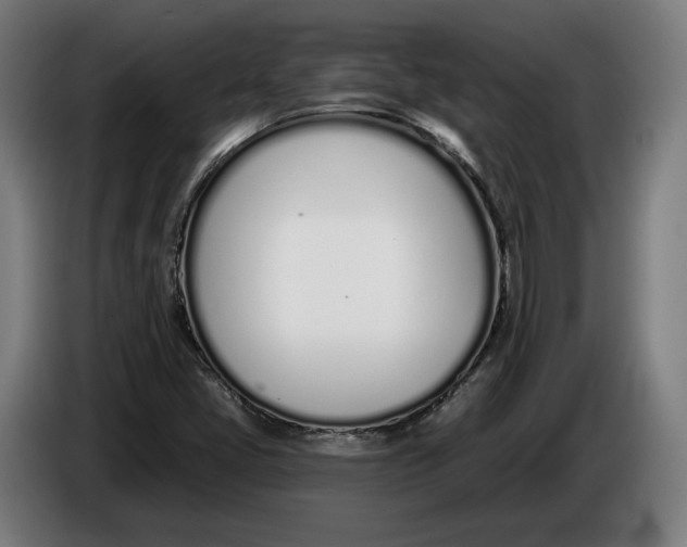 X0000086251405200704191833