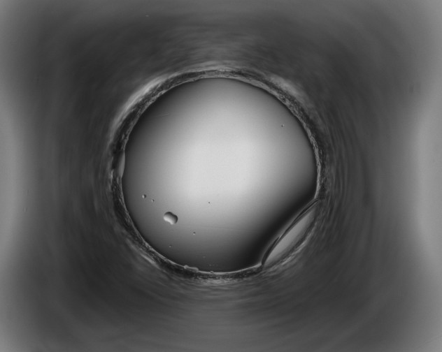 X0000086251406200704191833