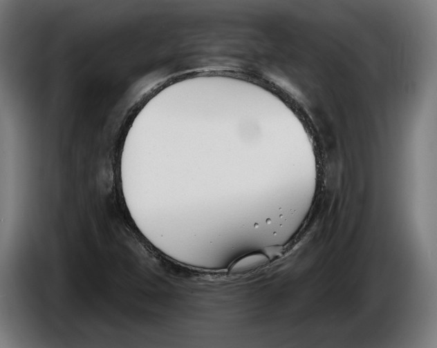 X0000086251407200704191833
