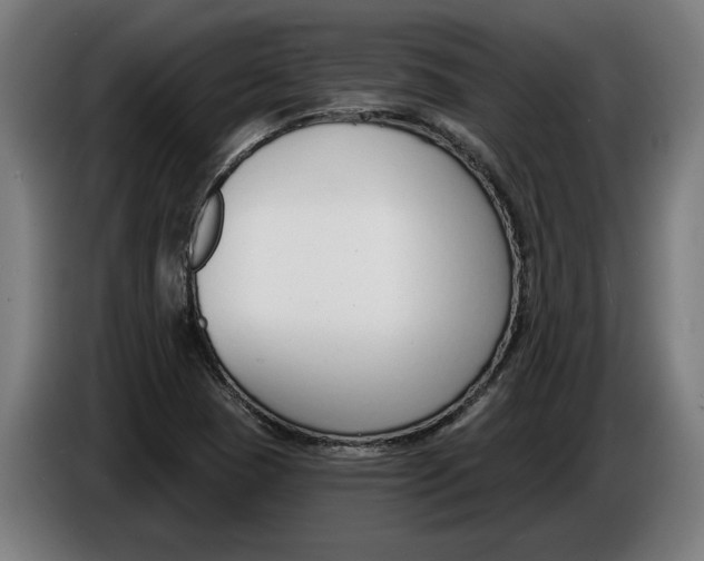 X0000086251409200704191833