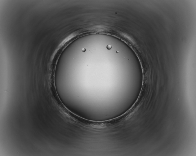 X0000086251410200704191833