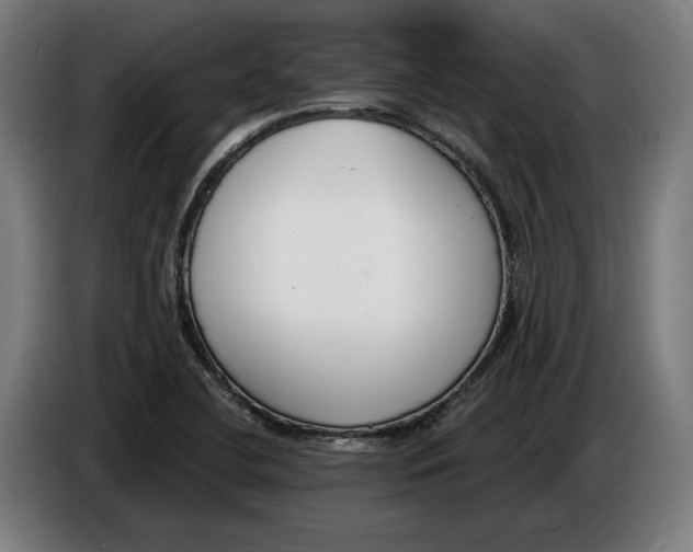 X0000086251412200704191833