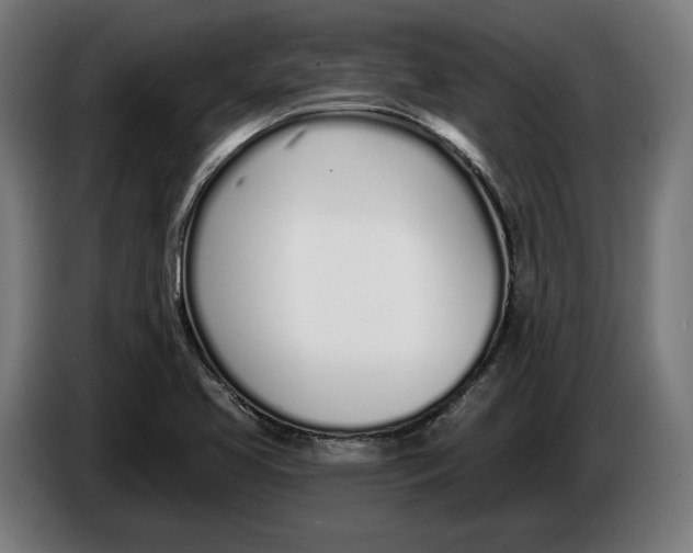 X0000086251413200704191833