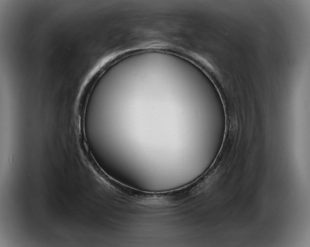 X0000086251414200704191833