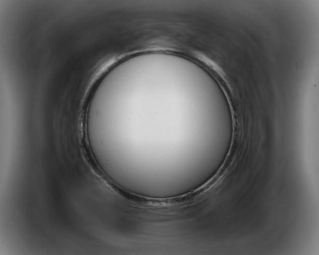 X0000086251415200704191833