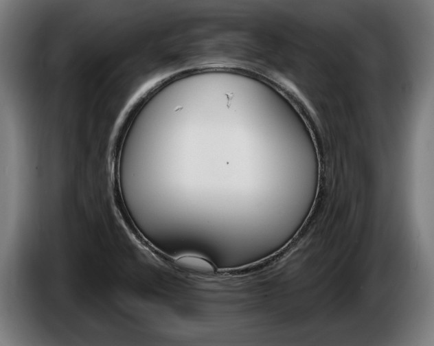 X0000086251416200704191833