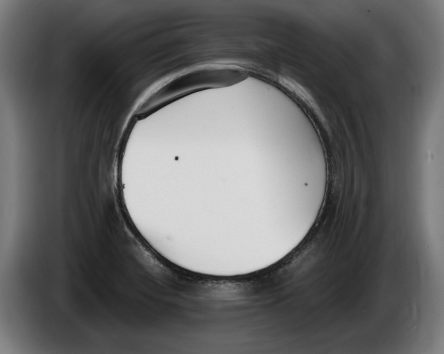 X0000086251420200704191833