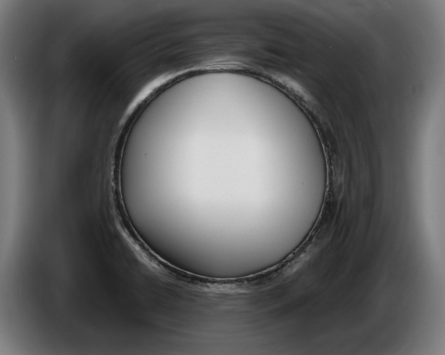 X0000086251422200704191833