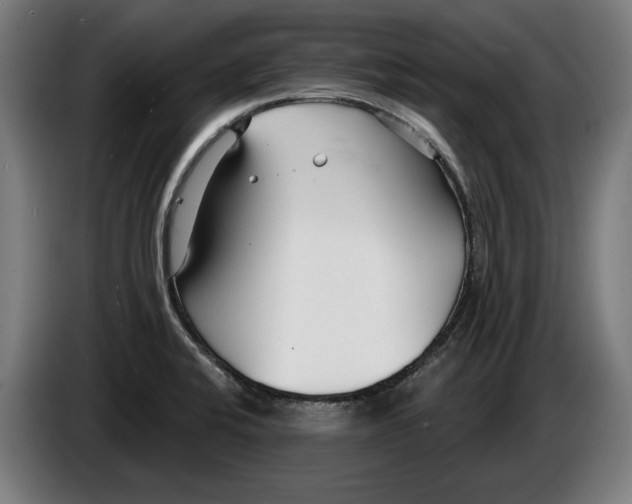 X0000086251424200704191833