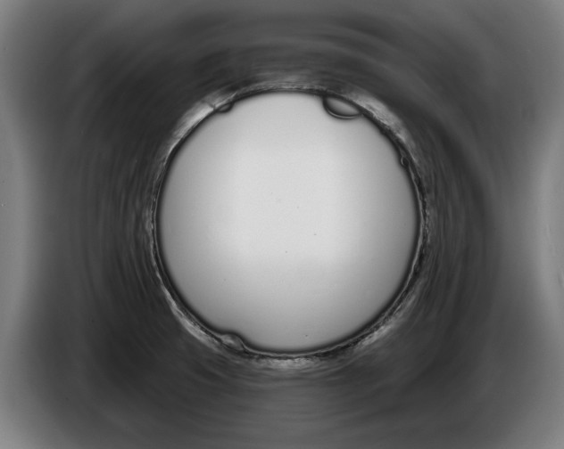 X0000086251425200704191833