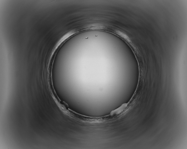 X0000086251426200704191833