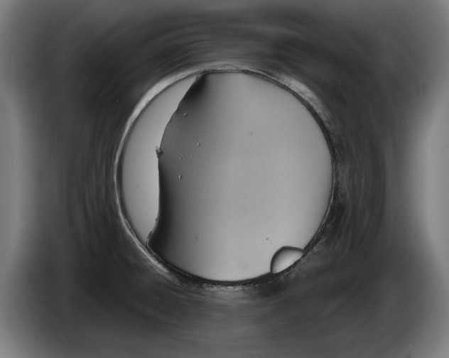 X0000086251428200704191833