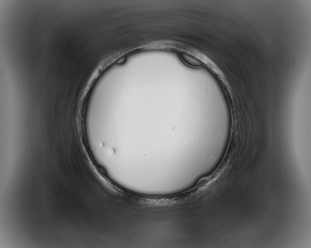 X0000086251429200704191833